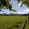 Back from School, Coromandel