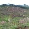 Somewhere in New Zealand, North Island