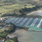 Pine Harbour, Beachlands, New Zealand