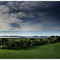 near Auckland