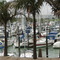 Pine Harbour