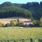 Te Kiteroa Autumn colours
