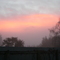 waimate morning
