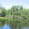 Ocklawaha River