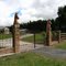 Wanna play chess? ... Horse farm in Waihi