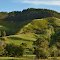 Coromandel Peninsula (Nouvelle-Zélande)