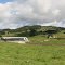 Waihai, Dairy farm, North Island, New Zealand - 'Travel' contest, March 2013