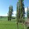 CHB landscape in portrait