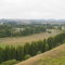 Waipukurau View from Pukeora
