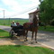 Amish Family in Buggy