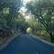 Oro-Bangor Highway aka Snake Road