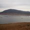 Lake Oroville Houseboats