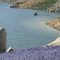 Near Feather Falls, CA:  Lake Oroville Low Water, 2009