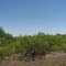 South Beckham County, Oklahoma