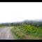 Heading back to Arcata on Fickle Hill.