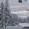 Kneeland, Ca