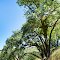 Kneeland Road DSC_0391sf