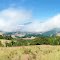 Kneeland Road DSC_0412sf