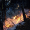 backburn