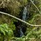 Mountain Jungle