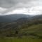 Willow Creek California