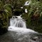 Mountain Stream
