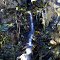 Along Bair Road _DSC6280