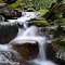Creek on Bair Road_DSC7542