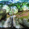 Armstrong Woods Falls Stitched Panorama