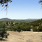 Alexander Valley