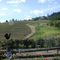 View from Rafanelli
