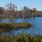 Black Pond