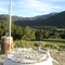 Galante  Vineyard looking SE
