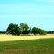 2011, Grant, Oklahoma, USA - along Rte 60 - farm land
