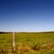 Ohio Farmland