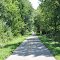 Roberts Pass Trail at Glade Run Road