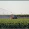 Irrigating Sugarcane Crop