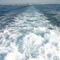 Deep Atlantic Ocean tour near Jupiter, Florida