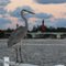 Blue Heron, Red Lighthouse