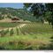 Pope Valley, California