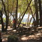 Napa Valley wine picnic site