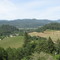 Napa Valley from Hospital balcony
