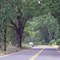 before Angwin / the Howell Monticello Rd.