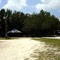 Oak Wood Park 2