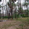 Lake Kissimmee SP, Buster Island Camp Site
