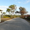 By the ranger station, looking north