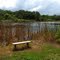 Have a seat & listen to the frogs.