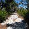 SUMICA trail