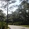Lake Kissimmee State Park Roadway