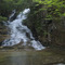 Tama Fall